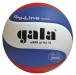 Фирма GALA волейбол